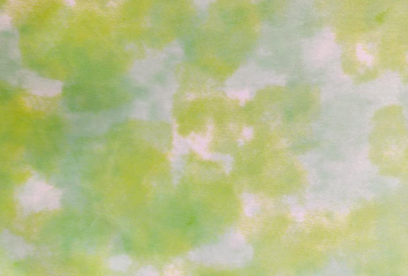 510mg 170cm 300GSM 氨纶超柔短毛绒面料 有弹力 5%氨纶95%涤纶 510mg 170cm 300GSM 氨纶超柔短毛绒面料 有弹力 5%氨纶95%涤纶