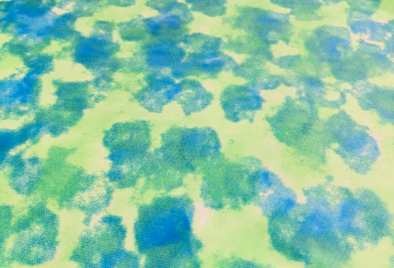 510mg 170cm 300GSM 氨纶超柔短毛绒面料 有弹力 5%氨纶95%涤纶 510mg 170cm 300GSM 氨纶超柔短毛绒面料 有弹力 5%氨纶95%涤纶